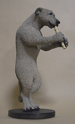 �A�C���b�V����E���t�n�E���h