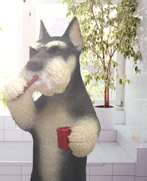 �~�j�`���A��V���i�E�U�[