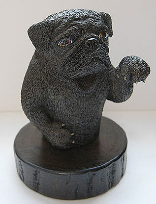 �������p�O